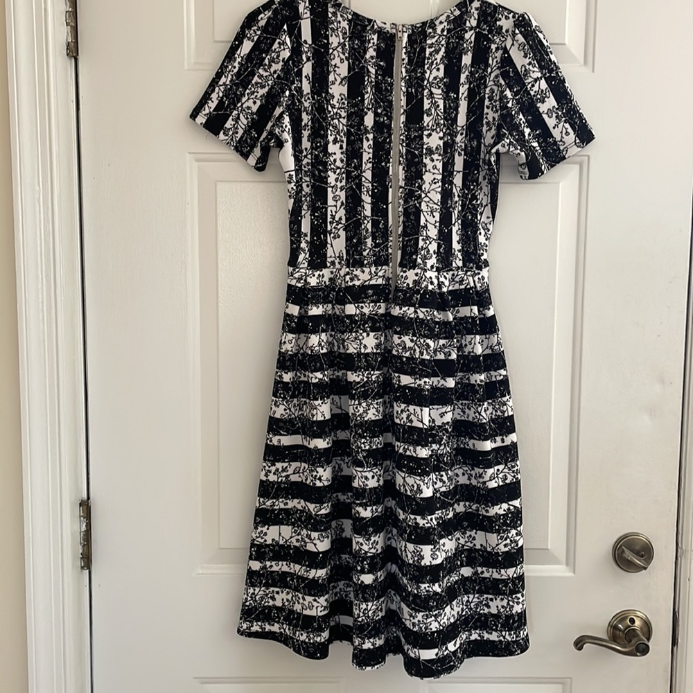 Beautiful LuLaRoe Amelia - Picture 4 of 4